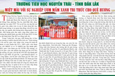 Sơ lược về trường TH Nguyễn Trãi – phường Tân An – tỉnh Đắk Lắk